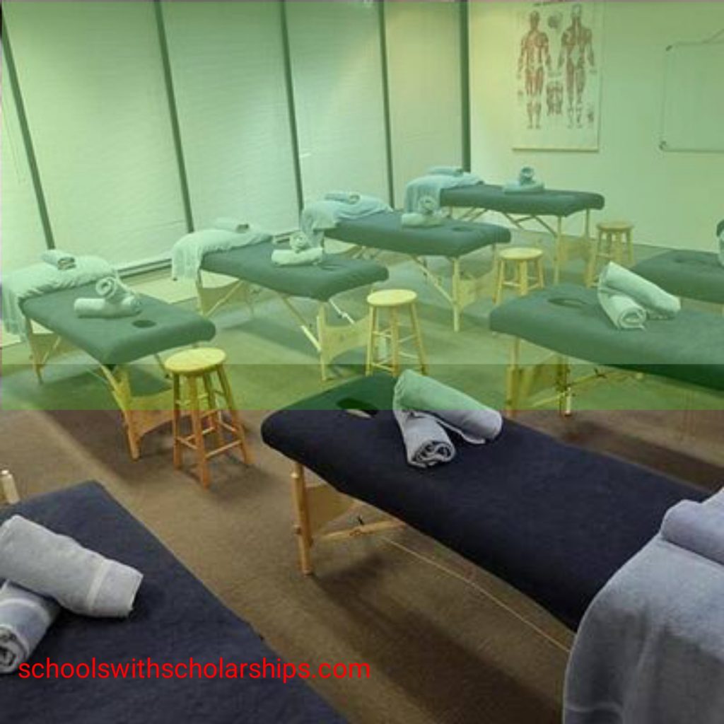 Top 12 Best Massage Schools In The World Apply To The Best Massage   20210810 133100 1024x1024 