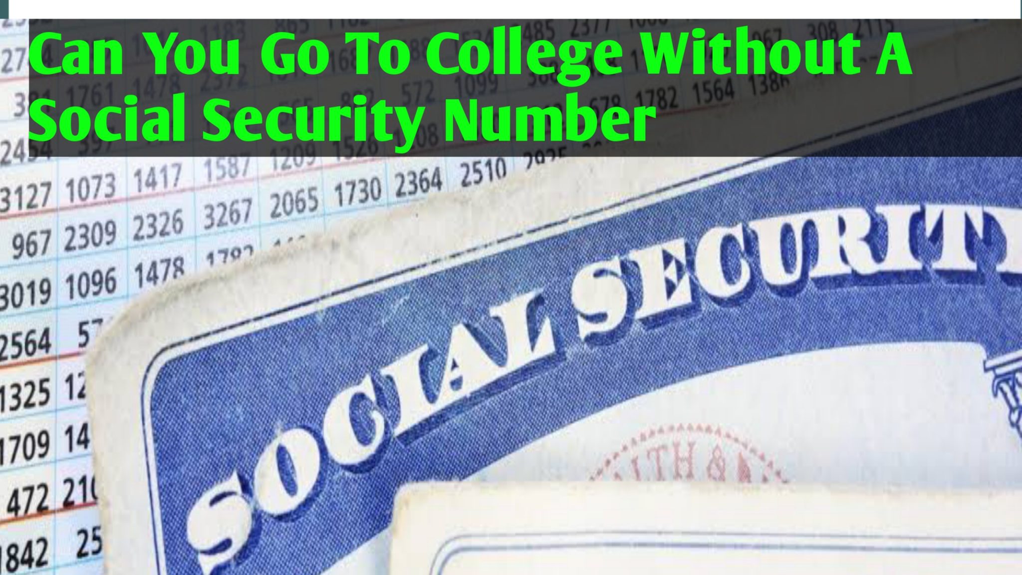 can-you-go-to-college-without-a-social-security-number-schools-with